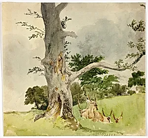 Family of Deer under a Tree