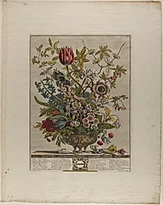 February, from Twelve Months of Flowers