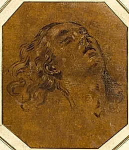 Female Head
