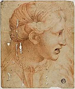 Female Head in Profile, Facing Right