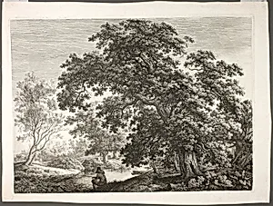 Fisherman in Wooded Landscape