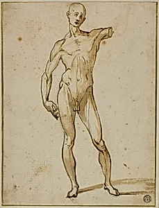 Flayed Man