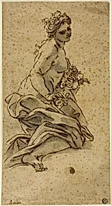 Flora