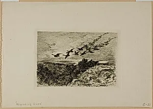Flying Geese