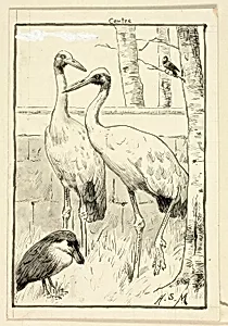 Four Birds in Landscape
