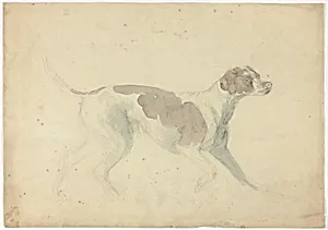 Fox Hound (recto); Sketches of Horse and Rider (verso)