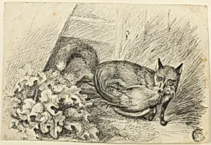 Fox Stealing a Cock
