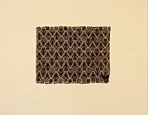 Fragment