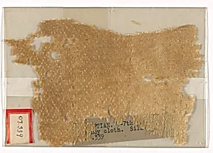 Fragment by Unknown
