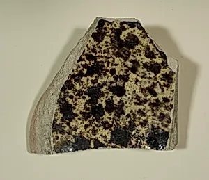 Fragment of a Bowl
