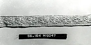 Galloon (Trim) by Unknown