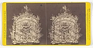 George & Martha Washington, from the series "Skeleton Leaves"