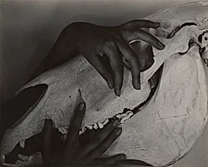 Georgia O'Keeffe - Hands and Horse Skull