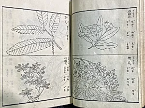 Haikai Kikizuko (Pictures of Seasonal Subjects for Haiku) by Unknown