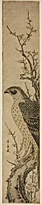 Hawk on a Cherry Tree by Utagawa Toyohiro