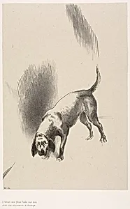 He [The Narrator's Dog] Kept His Eyes Fixed on Me With a Look So Strange, plate 3 of 6 by Odilon Redon