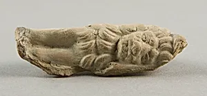 Head and Forelegs of Lion