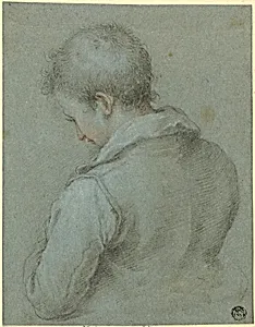 Head and Shoulders of a Man seen from the Back