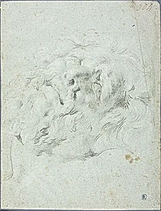 Head from Laocoon Group