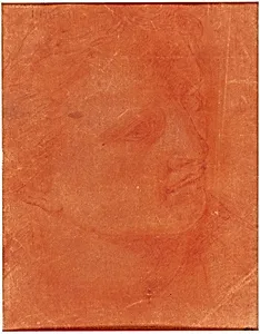 Head in Three-Quarter Profile (recto); Standing Young Man Pointing Left and Sketches of Feet, Arm (verso)