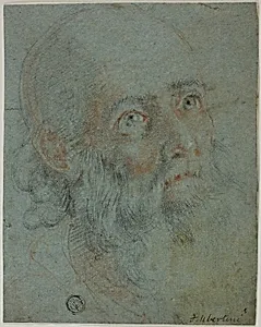 Head of a Bearded Man, Looking Up to Right: Study for Saint Catherine of Alexandria Disputing with the Pagan Priests