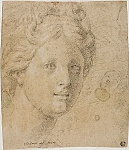 Head of a Woman