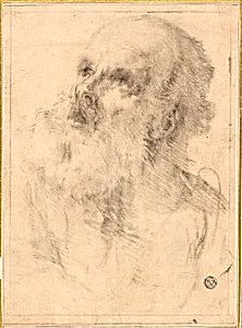 Head of an Old Man