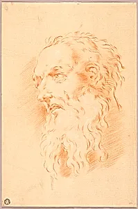 Head of Bearded Man