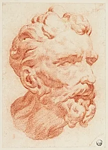 Head of Bearded Man in Three-Quarter Profile to Right