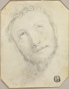 Head of Bearded Man Looking Upwards