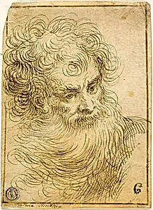 Head of Bearded Old Man (recto); Decorative Sketch of Flower and Leaves (verso)