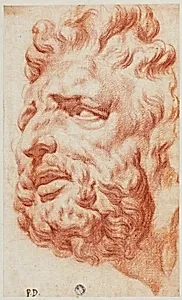 Head of Laocoon