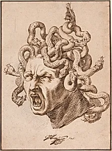 Head of Medusa