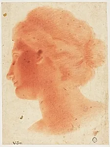 Head of Venus de Medici