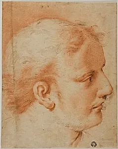 Head of Young Man, in Profile to Right