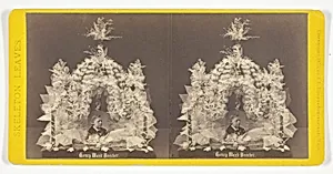 Henry Ward Beecher, from the series "Skeleton Leaves"