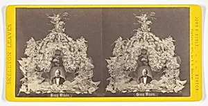 Henry Wilson, from the series "Skeleton Leaves"