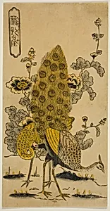 Hollyhocks and Peacocks (Aoi ni kujaku)