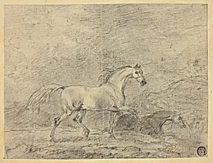 Horses