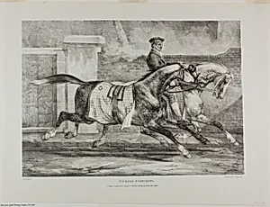Horses Exercising, plate 6 from Various Subjects Drawn from Life and on Stone (The English Suite) by Jean Louis André Théodore Géricault