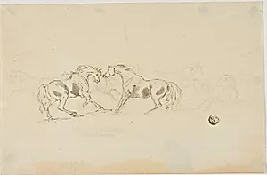 Horses Fighting