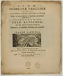 Icon membrane vasculosae