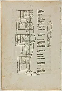Illustration to Vier Bücher von der Menschlichen Proportion, plate one from Woodcuts from Books of the XVI Century by Albrecht Dürer
