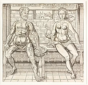 Interiorum corporis humani partium viva delineatio, from the second edition of the Compendiosa totius anatomie delineation