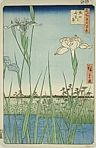 Irises at Horikiri (Horikiri no hanashobu), from the series "One Hundred Famous Views of Edo (Meisho Edo hyakkei)" by Utagawa Hiroshige