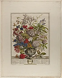 July, from Twelve Months of Flowers
