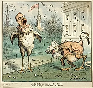 Kik-kik-cock-a-doodle doo! Mr. Kelly, how are YOU?, from Puck