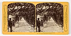 Kirkland, through the Arbor, No. 138 from the series "Devil's Lake and Vicinity" by Henry Hamilton Bennett