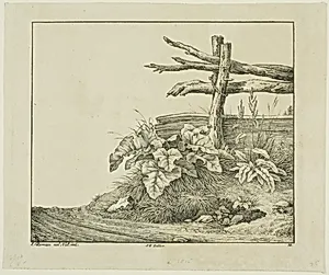 Landscape with Flora and Rustic Fence near Roadside