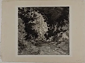 Le Chemin de Coutures, à Sèvres